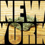 Cannabis Legalization